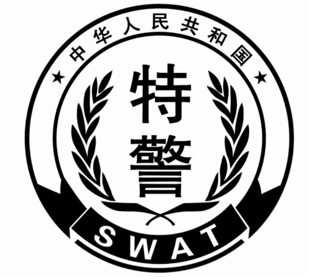 沙场冬点兵,砺剑在齐鲁,全国公安特警维稳处突实战汇报演练震撼上演!